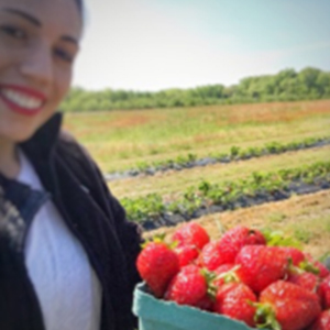 Becky Conti Self-Pick Strawberry Farm