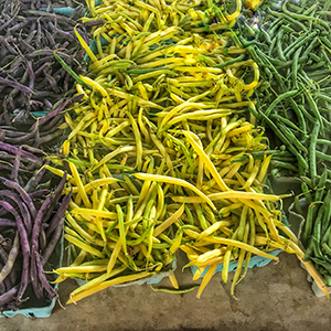 String Beans Purple Yellow Green