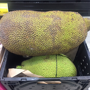 Jack Fruit