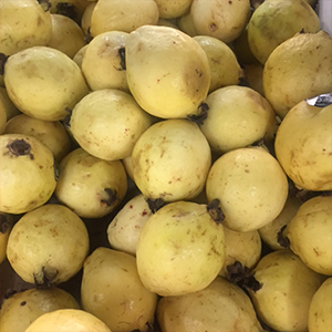 Guavas